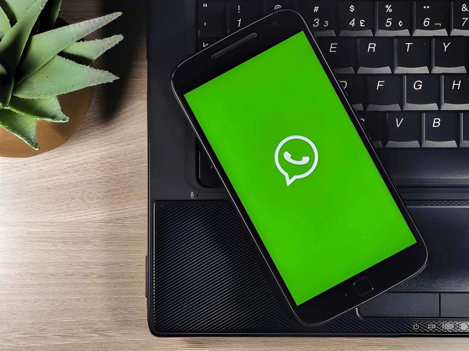WhatsApp Business App vs WhatsApp API: What’s the Difference?